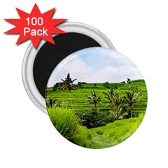 Bali Rice Terraces Landscape Rice 2 25  Magnets (100 Pack)  by Nexatart