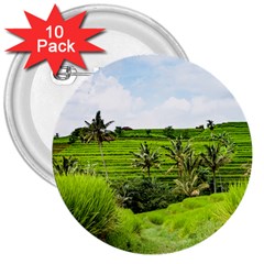 Bali Rice Terraces Landscape Rice 3  Buttons (10 Pack)  by Nexatart