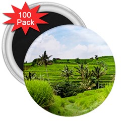 Bali Rice Terraces Landscape Rice 3  Magnets (100 Pack) by Nexatart