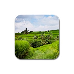 Bali Rice Terraces Landscape Rice Rubber Square Coaster (4 Pack)  by Nexatart