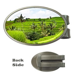 Bali Rice Terraces Landscape Rice Money Clips (oval)  by Nexatart