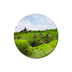 Bali Rice Terraces Landscape Rice Rubber Coaster (round)  by Nexatart