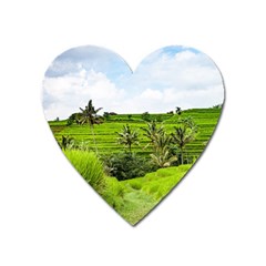 Bali Rice Terraces Landscape Rice Heart Magnet by Nexatart