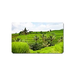 Bali Rice Terraces Landscape Rice Magnet (name Card) by Nexatart