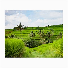 Bali Rice Terraces Landscape Rice Small Glasses Cloth by Nexatart