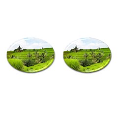 Bali Rice Terraces Landscape Rice Cufflinks (oval) by Nexatart