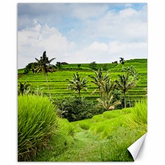 Bali Rice Terraces Landscape Rice Canvas 16  X 20   by Nexatart