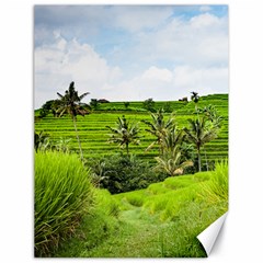 Bali Rice Terraces Landscape Rice Canvas 18  X 24   by Nexatart