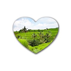 Bali Rice Terraces Landscape Rice Rubber Coaster (heart)  by Nexatart