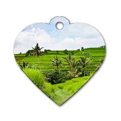 Bali Rice Terraces Landscape Rice Dog Tag Heart (one Side) by Nexatart