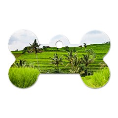 Bali Rice Terraces Landscape Rice Dog Tag Bone (one Side) by Nexatart