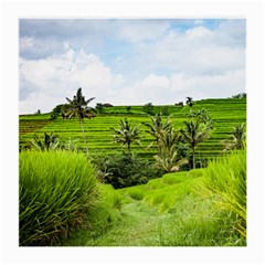 Bali Rice Terraces Landscape Rice Medium Glasses Cloth by Nexatart