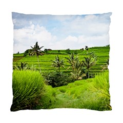 Bali Rice Terraces Landscape Rice Standard Cushion Case (one Side) by Nexatart