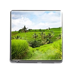 Bali Rice Terraces Landscape Rice Memory Card Reader (square) by Nexatart