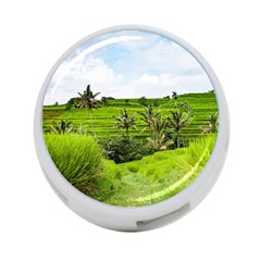 Bali Rice Terraces Landscape Rice 4-port Usb Hub (one Side) by Nexatart