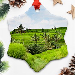 Bali Rice Terraces Landscape Rice Ornament (snowflake) by Nexatart