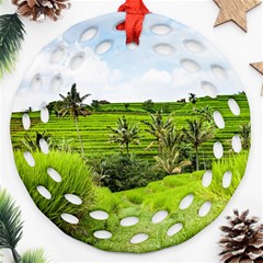 Bali Rice Terraces Landscape Rice Round Filigree Ornament (two Sides) by Nexatart