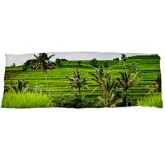 Bali Rice Terraces Landscape Rice Body Pillow Case (dakimakura) by Nexatart