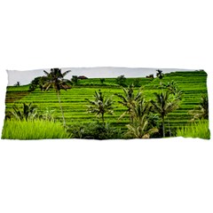 Bali Rice Terraces Landscape Rice Body Pillow Case Dakimakura (two Sides) by Nexatart