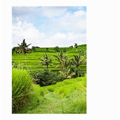 Bali Rice Terraces Landscape Rice Small Garden Flag (two Sides) by Nexatart