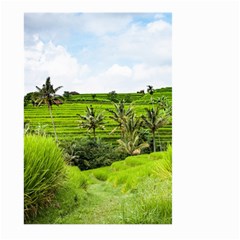 Bali Rice Terraces Landscape Rice Large Garden Flag (two Sides) by Nexatart