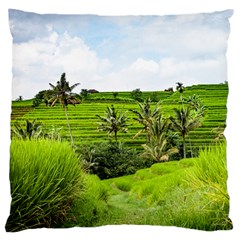 Bali Rice Terraces Landscape Rice Large Cushion Case (two Sides) by Nexatart