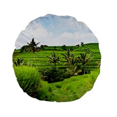 Bali Rice Terraces Landscape Rice Standard 15  Premium Round Cushions by Nexatart