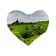 Bali Rice Terraces Landscape Rice Standard 16  Premium Heart Shape Cushions by Nexatart