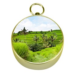 Bali Rice Terraces Landscape Rice Gold Compasses by Nexatart