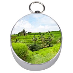 Bali Rice Terraces Landscape Rice Silver Compasses by Nexatart