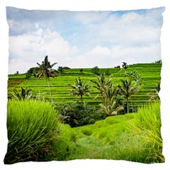 Bali Rice Terraces Landscape Rice Standard Flano Cushion Case (two Sides) by Nexatart