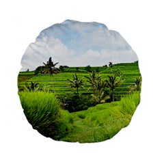 Bali Rice Terraces Landscape Rice Standard 15  Premium Flano Round Cushions by Nexatart