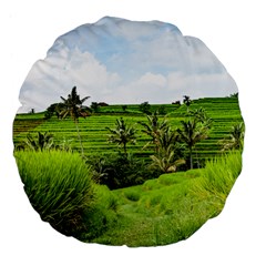 Bali Rice Terraces Landscape Rice Large 18  Premium Flano Round Cushions by Nexatart