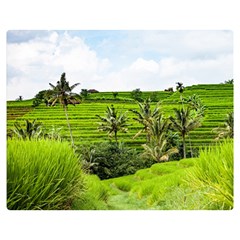 Bali Rice Terraces Landscape Rice Double Sided Flano Blanket (medium)  by Nexatart