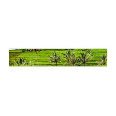 Bali Rice Terraces Landscape Rice Flano Scarf (mini) by Nexatart