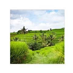 Bali Rice Terraces Landscape Rice Small Satin Scarf (square) by Nexatart