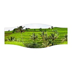 Bali Rice Terraces Landscape Rice Stretchable Headband by Nexatart