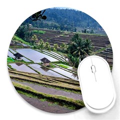 Rice Terrace Rice Fields Round Mousepads by Nexatart