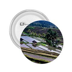 Rice Terrace Rice Fields 2 25  Buttons by Nexatart