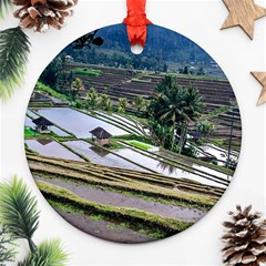 Rice Terrace Rice Fields Ornament (round) by Nexatart