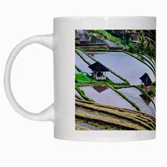 Rice Terrace Rice Fields White Mugs by Nexatart