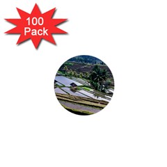 Rice Terrace Rice Fields 1  Mini Buttons (100 Pack)  by Nexatart