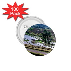 Rice Terrace Rice Fields 1 75  Buttons (100 Pack)  by Nexatart