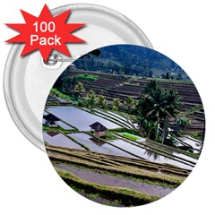 Rice Terrace Rice Fields 3  Buttons (100 Pack)  by Nexatart