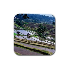 Rice Terrace Rice Fields Rubber Square Coaster (4 Pack)  by Nexatart