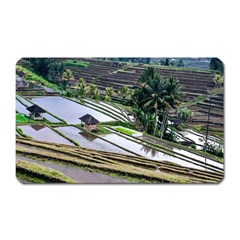 Rice Terrace Rice Fields Magnet (rectangular) by Nexatart