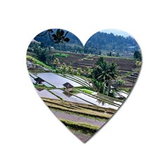 Rice Terrace Rice Fields Heart Magnet by Nexatart