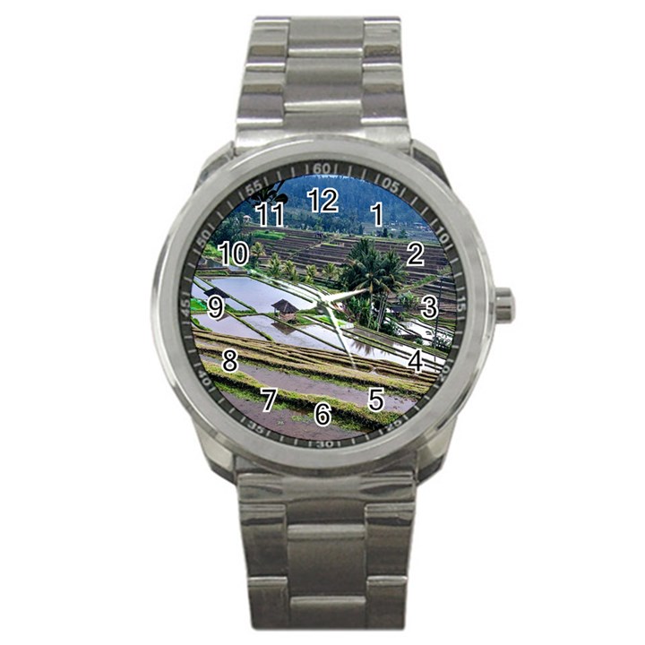 Rice Terrace Rice Fields Sport Metal Watch