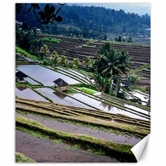 Rice Terrace Rice Fields Canvas 20  X 24   by Nexatart