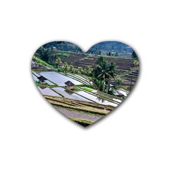 Rice Terrace Rice Fields Rubber Coaster (heart)  by Nexatart